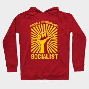 Friendly Neighborhood Socialist Hoodie